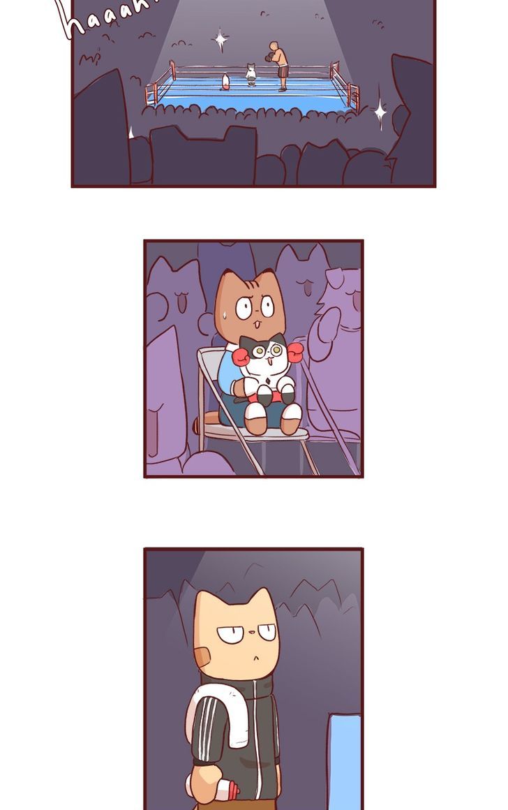 Saphie: The One-Eyed Cat Chapter 53 page 2 - Chapter 53