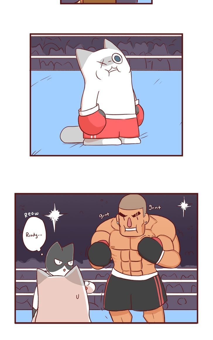 Saphie: The One-Eyed Cat Chapter 53 page 3 - Chapter 53