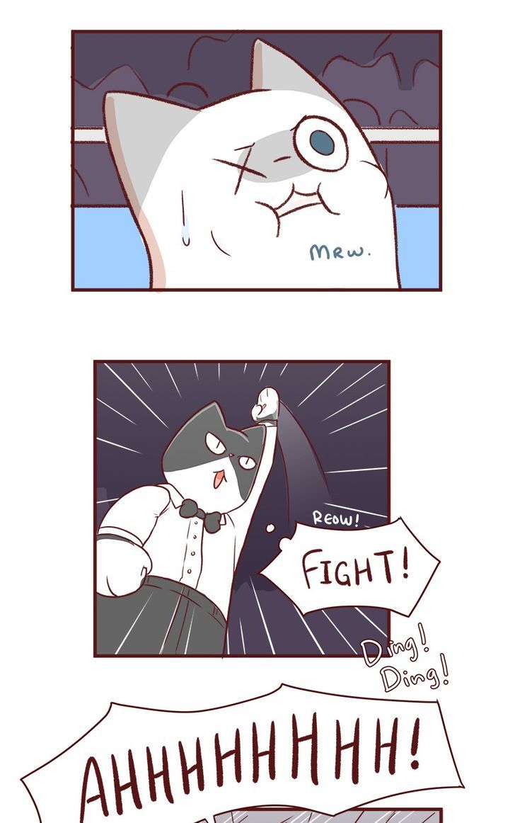 Saphie: The One-Eyed Cat Chapter 53 page 4 - Chapter 53