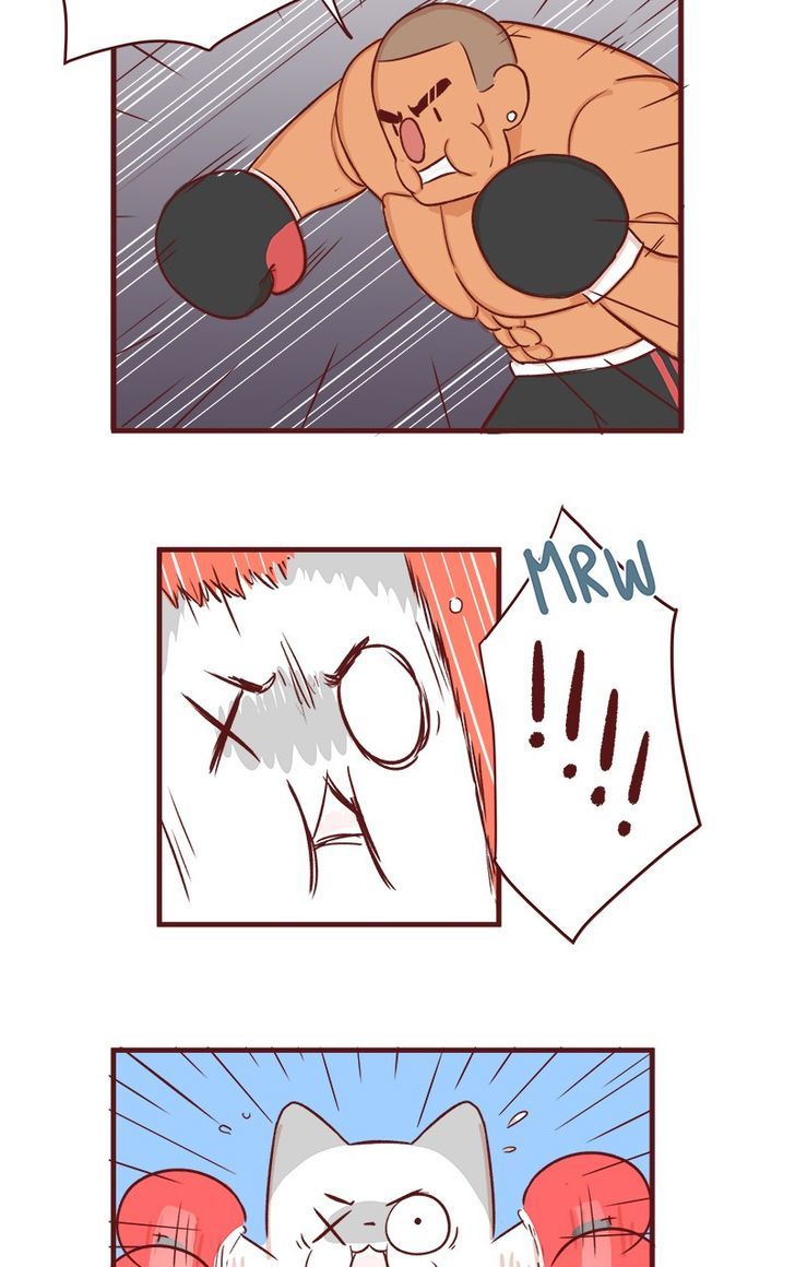 Saphie: The One-Eyed Cat Chapter 53 page 5 - Chapter 53