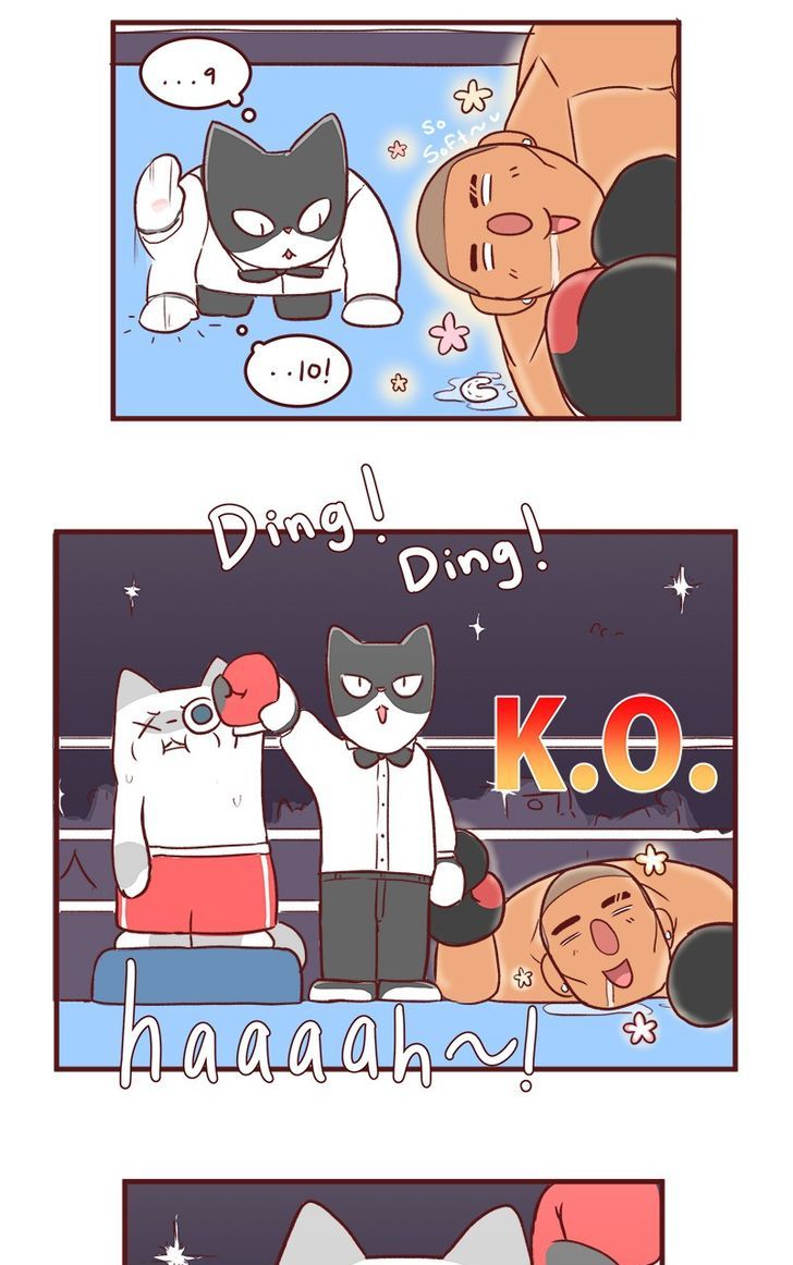 Saphie: The One-Eyed Cat Chapter 53 page 9 - Chapter 53