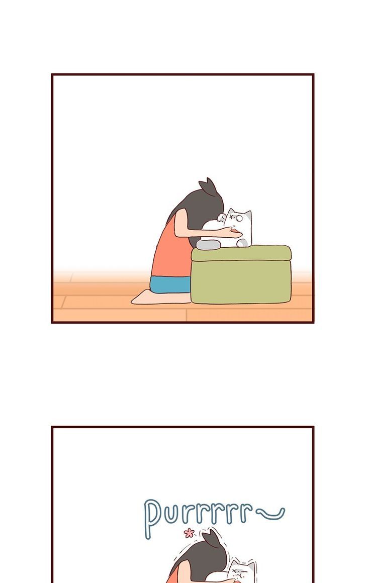 Saphie: The One-Eyed Cat Chapter 55 page 4 - Chapter 55