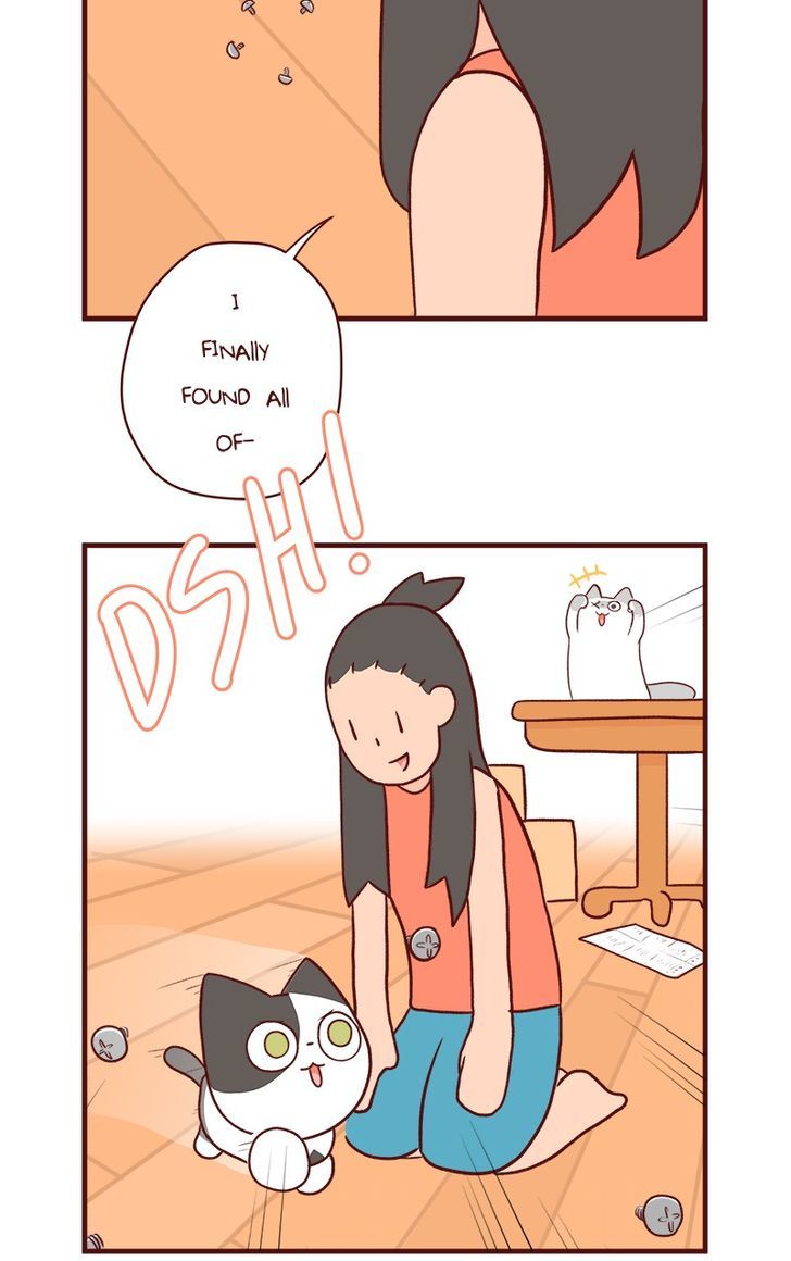 Saphie: The One-Eyed Cat Chapter 56 page 9 - Chapter 56