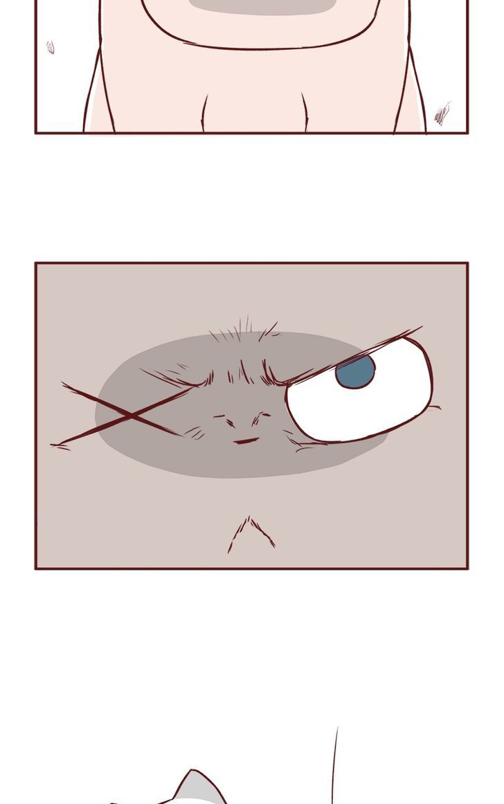 Saphie: The One-Eyed Cat Chapter 57 page 11 - Chapter 57