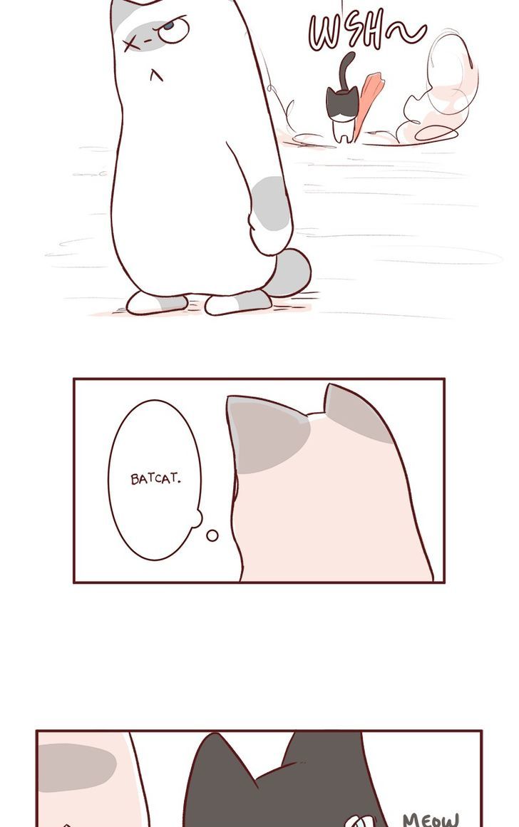 Saphie: The One-Eyed Cat Chapter 57 page 12 - Chapter 57