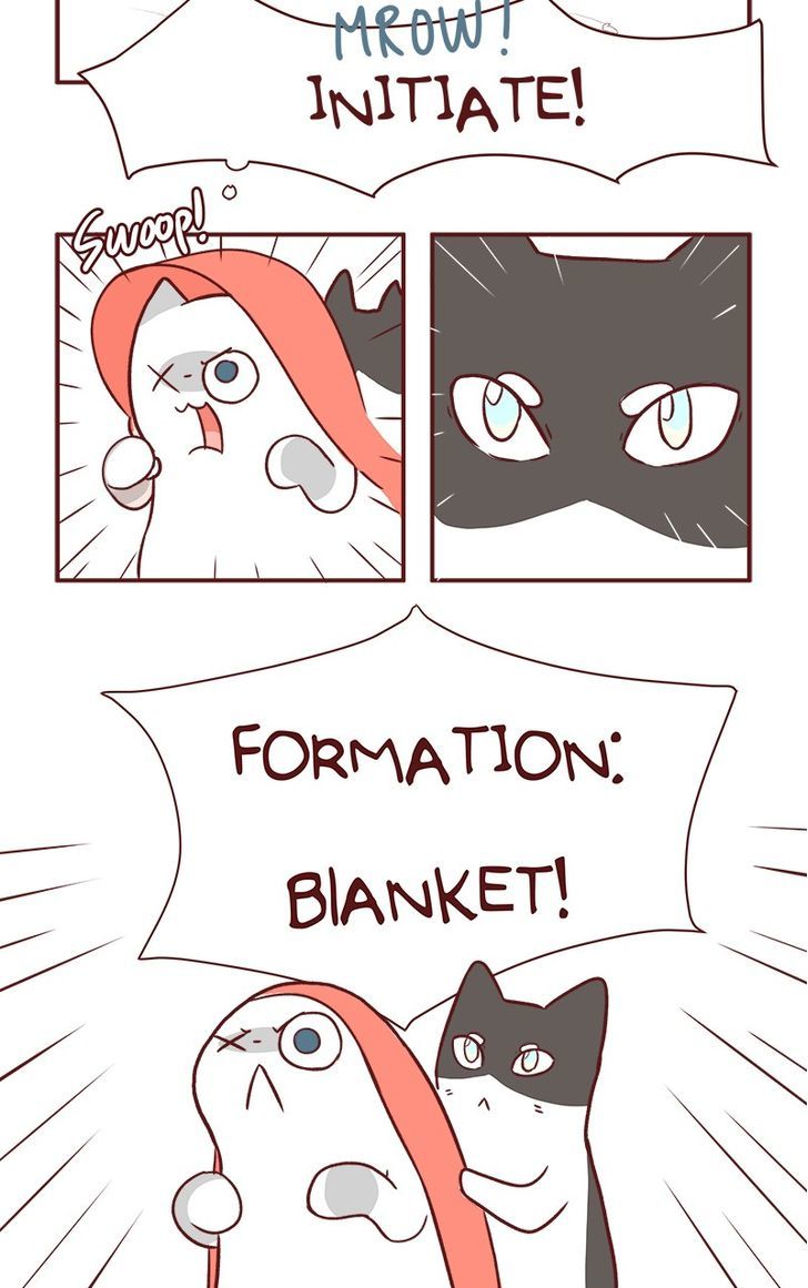 Saphie: The One-Eyed Cat Chapter 57 page 14 - Chapter 57