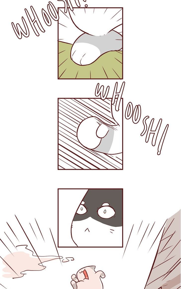 Saphie: The One-Eyed Cat Chapter 57 page 8 - Chapter 57