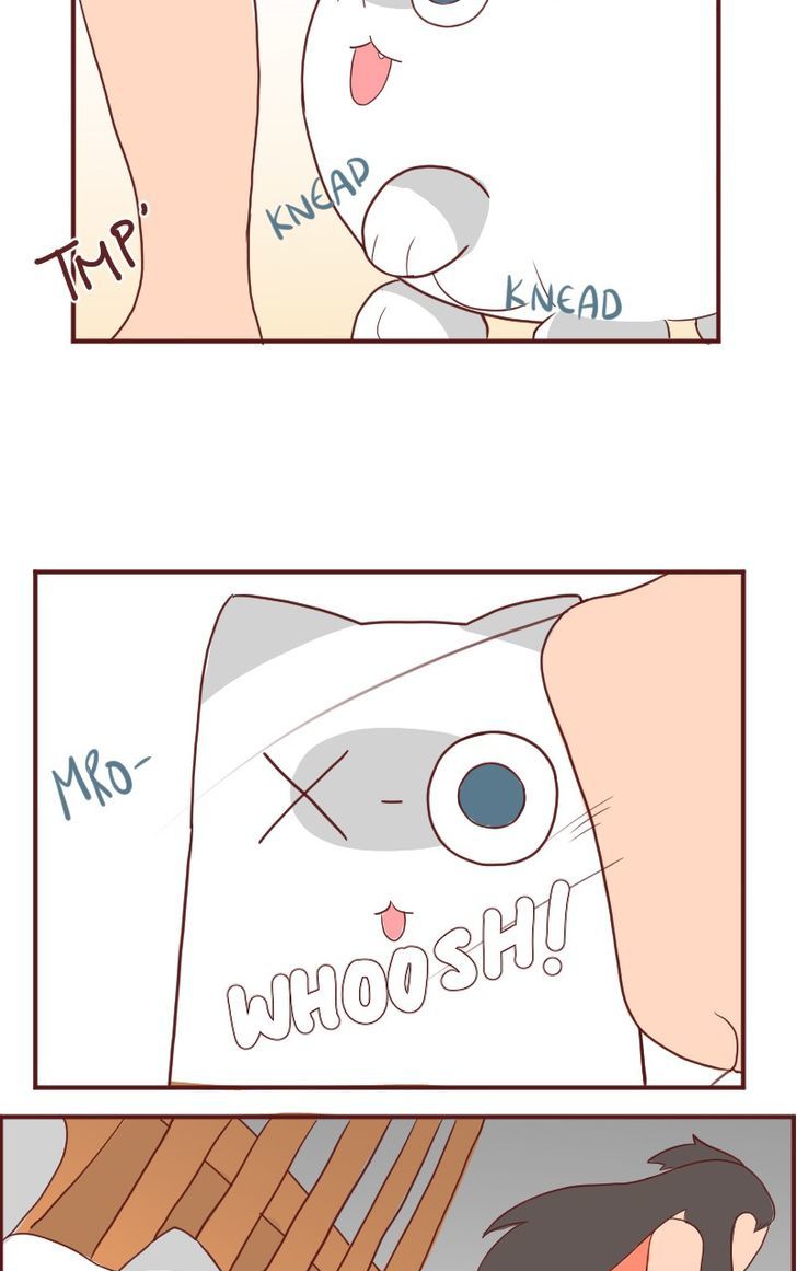 Saphie: The One-Eyed Cat Chapter 6 page 10 - Chapter 6 : Ignore 'nd No More