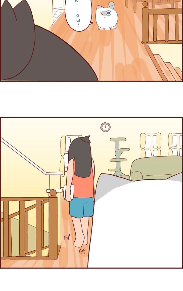 Saphie: The One-Eyed Cat Chapter 6 page 12 - Chapter 6 : Ignore 'nd No More