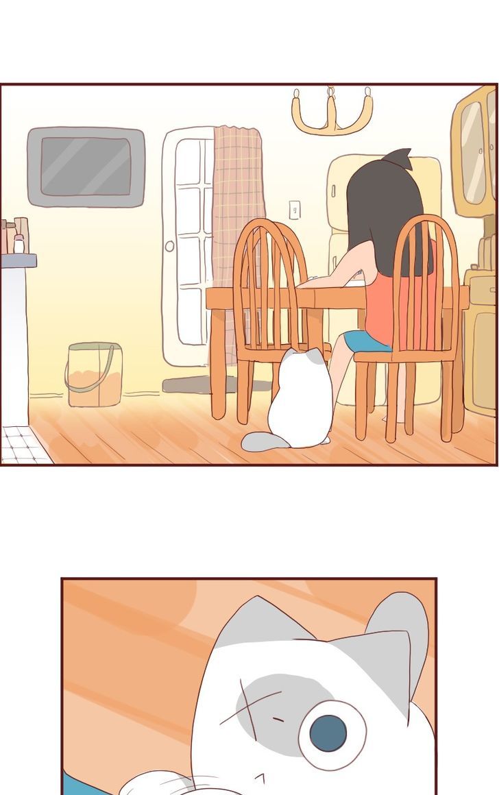 Saphie: The One-Eyed Cat Chapter 6 page 2 - Chapter 6 : Ignore 'nd No More