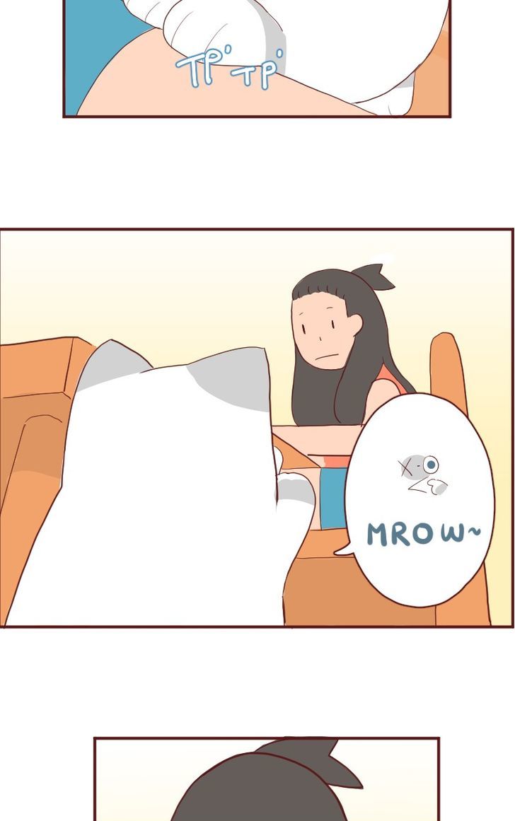 Saphie: The One-Eyed Cat Chapter 6 page 3 - Chapter 6 : Ignore 'nd No More