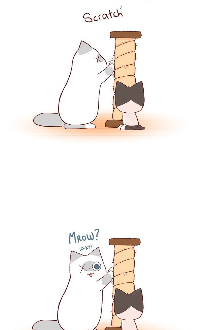 Saphie: The One-Eyed Cat Chapter 61 page 2 - Chapter 61