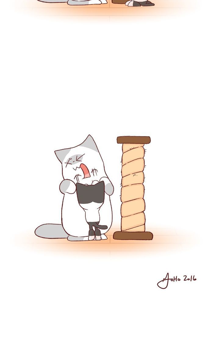Saphie: The One-Eyed Cat Chapter 61 page 3 - Chapter 61
