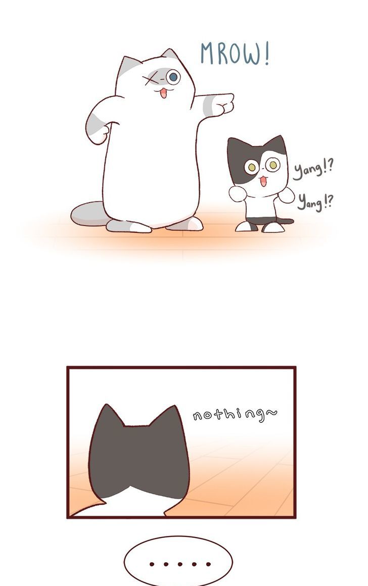 Saphie: The One-Eyed Cat Chapter 61 page 6 - Chapter 61