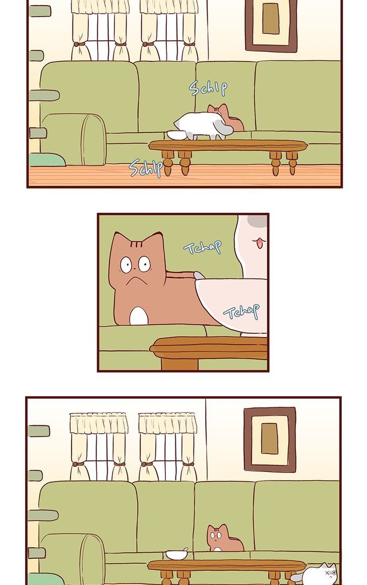 Saphie: The One-Eyed Cat Chapter 62 page 4 - Chapter 62