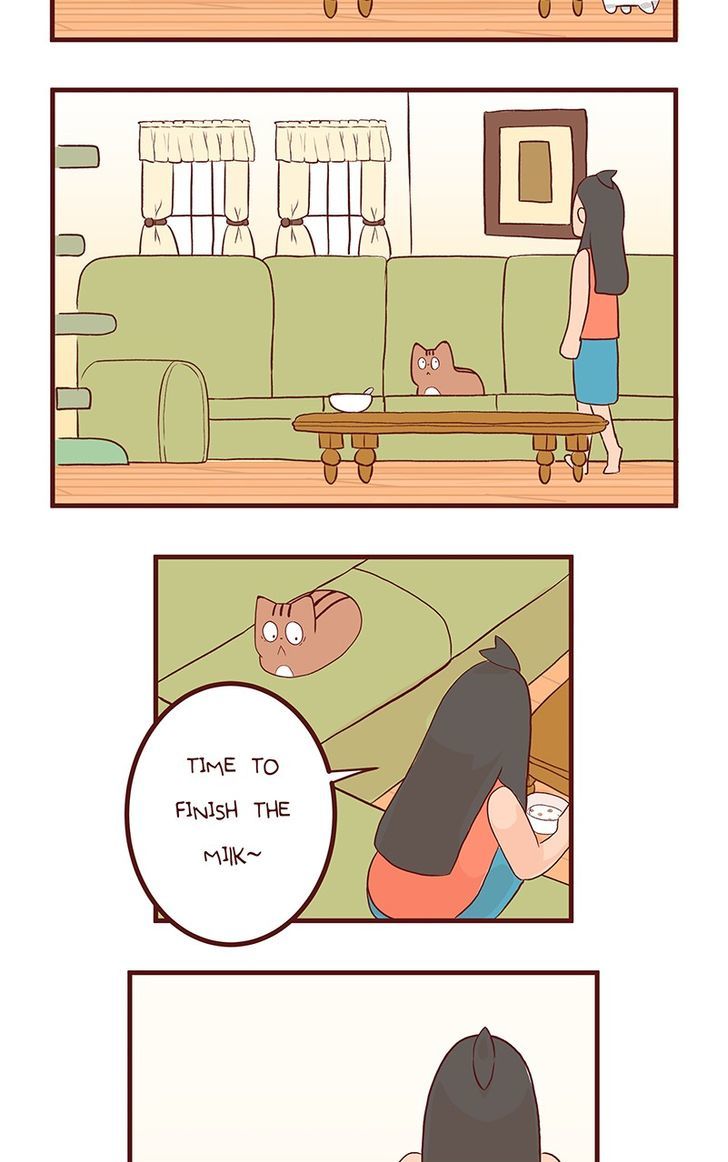 Saphie: The One-Eyed Cat Chapter 62 page 5 - Chapter 62