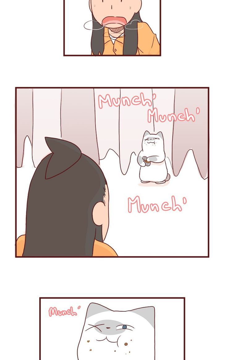 Saphie: The One-Eyed Cat Chapter 63 page 9 - Chapter 63