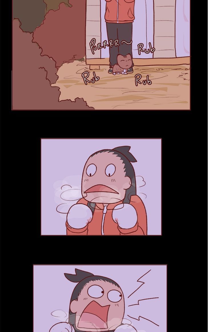 Saphie: The One-Eyed Cat Chapter 66 page 5 - Chapter 66