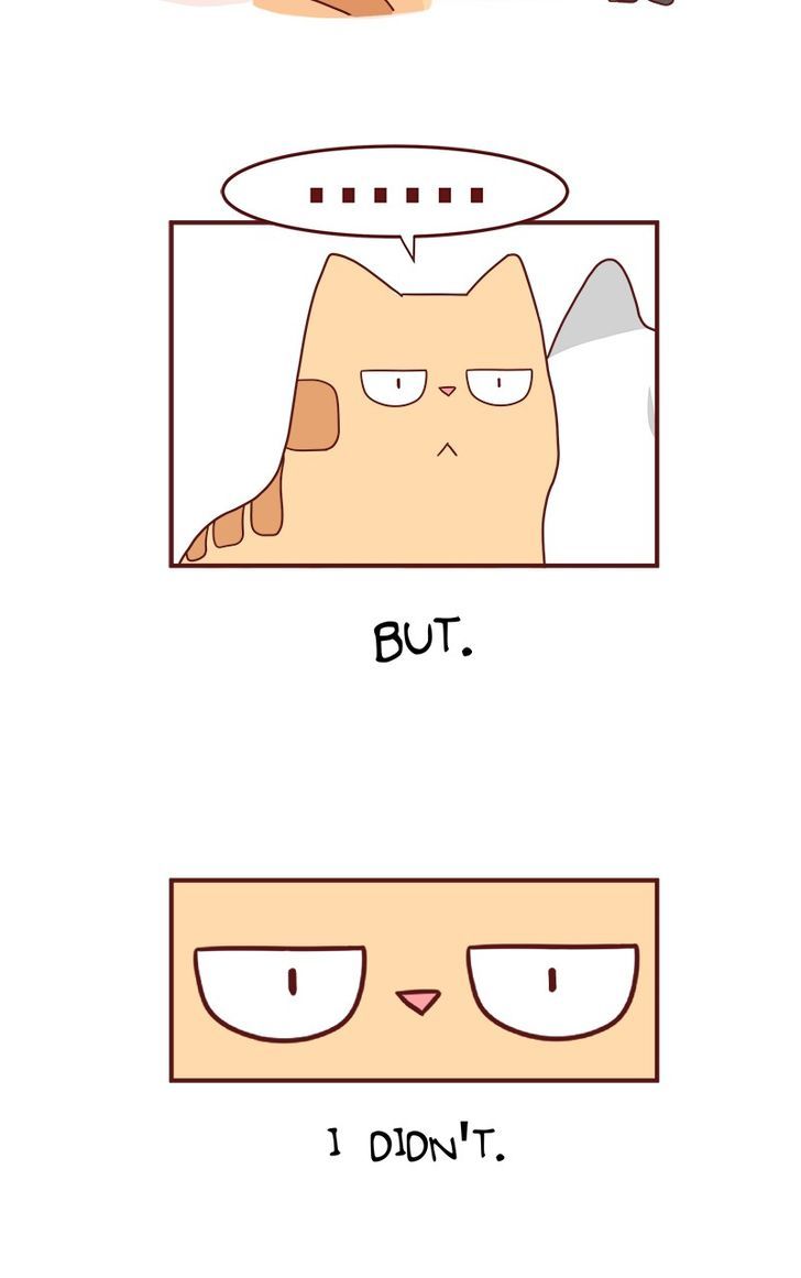 Saphie: The One-Eyed Cat Chapter 68 page 5 - Chapter 68