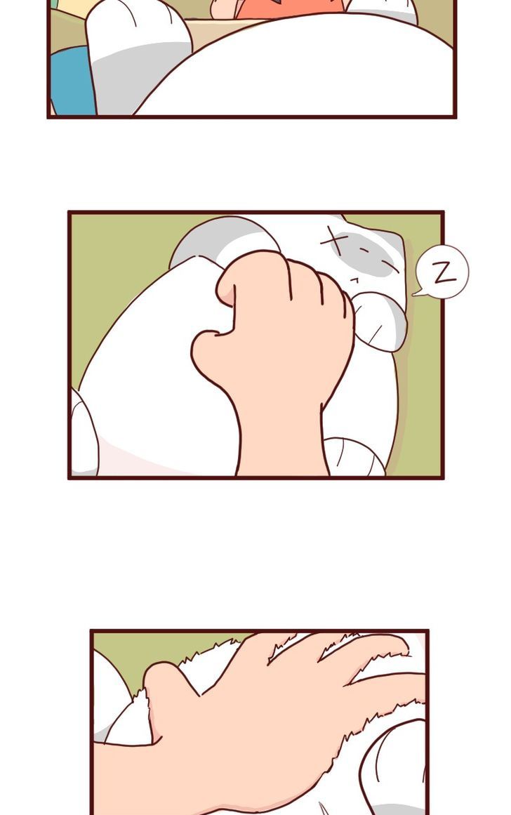 Saphie: The One-Eyed Cat Chapter 7 page 5 - Chapter 7 : Nostalgia