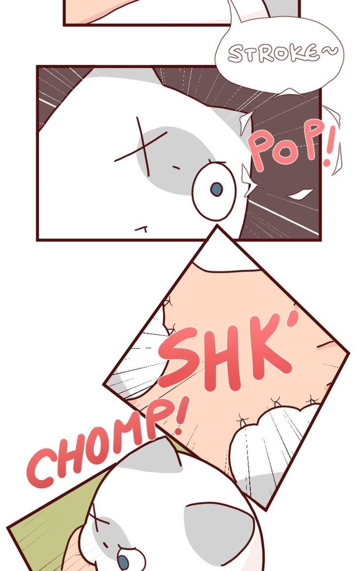 Saphie: The One-Eyed Cat Chapter 7 page 6 - Chapter 7 : Nostalgia