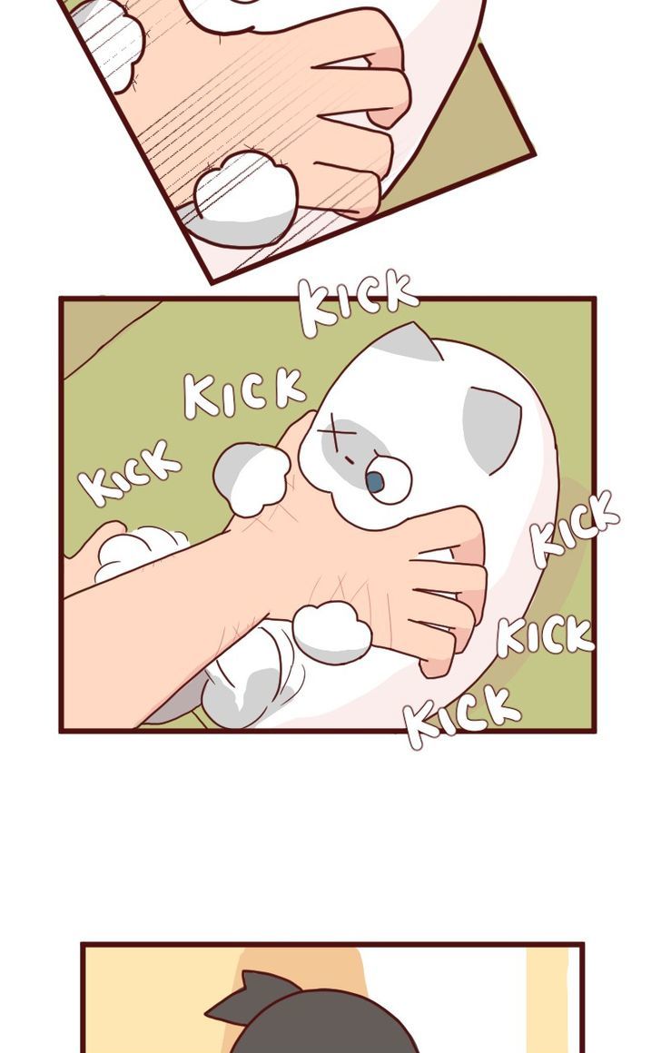 Saphie: The One-Eyed Cat Chapter 7 page 7 - Chapter 7 : Nostalgia