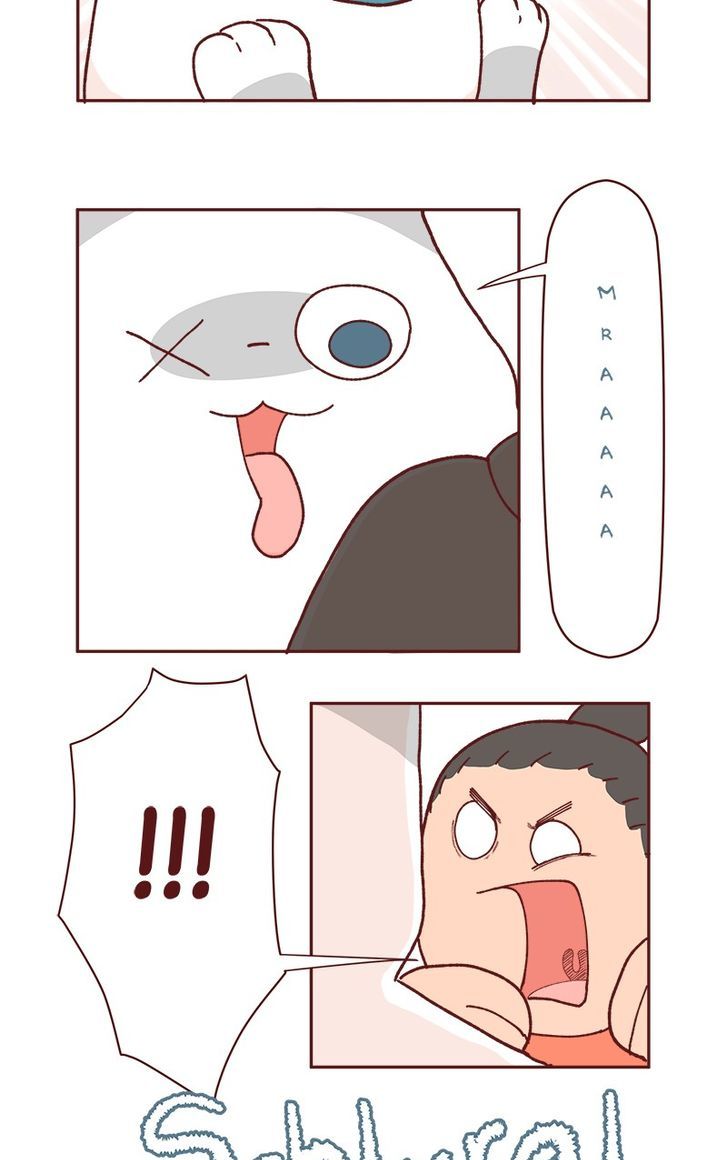 Saphie: The One-Eyed Cat Chapter 71 page 5 - Chapter 71