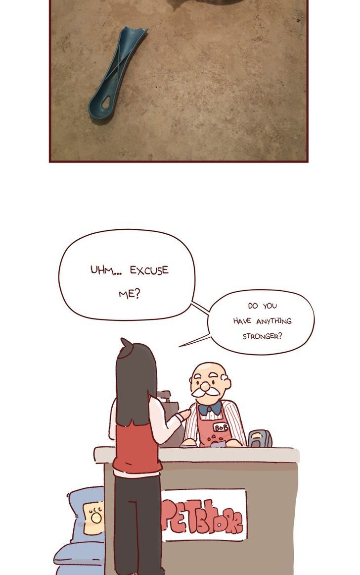 Saphie: The One-Eyed Cat Chapter 72 page 6 - Chapter 72