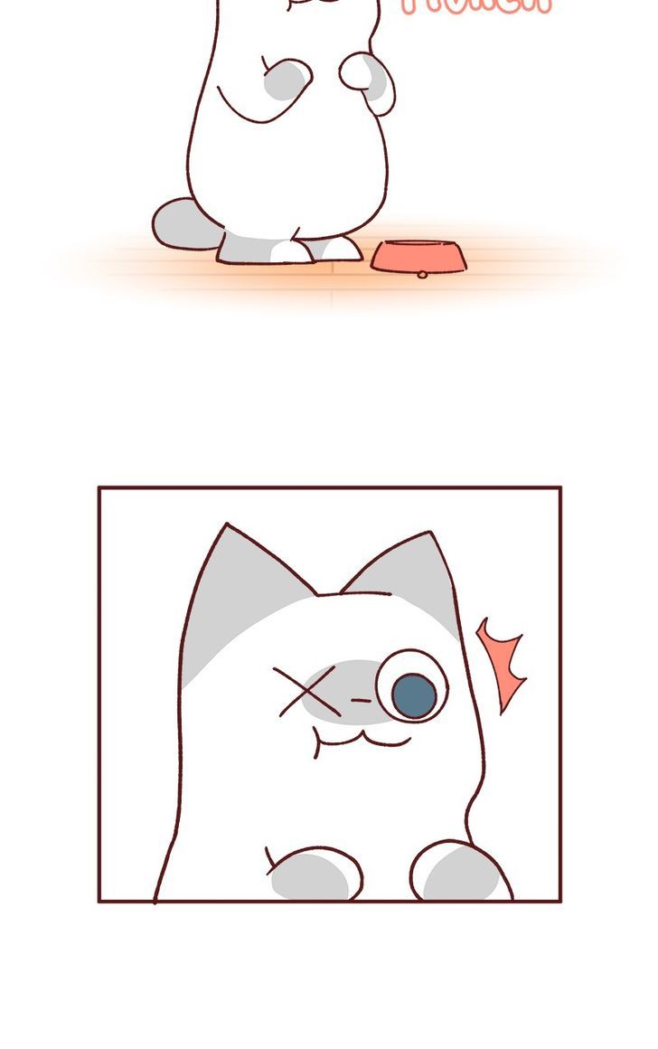 Saphie: The One-Eyed Cat Chapter 77 page 6 - Chapter 77
