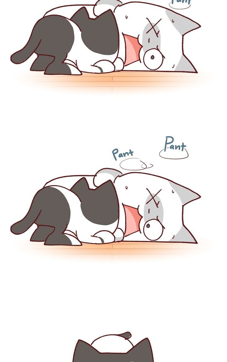 Saphie: The One-Eyed Cat Chapter 79 page 10 - Chapter 79