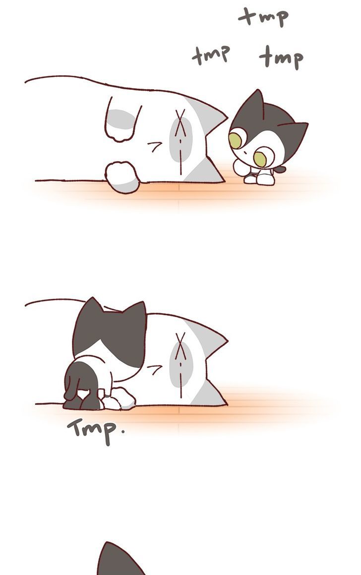 Saphie: The One-Eyed Cat Chapter 79 page 4 - Chapter 79