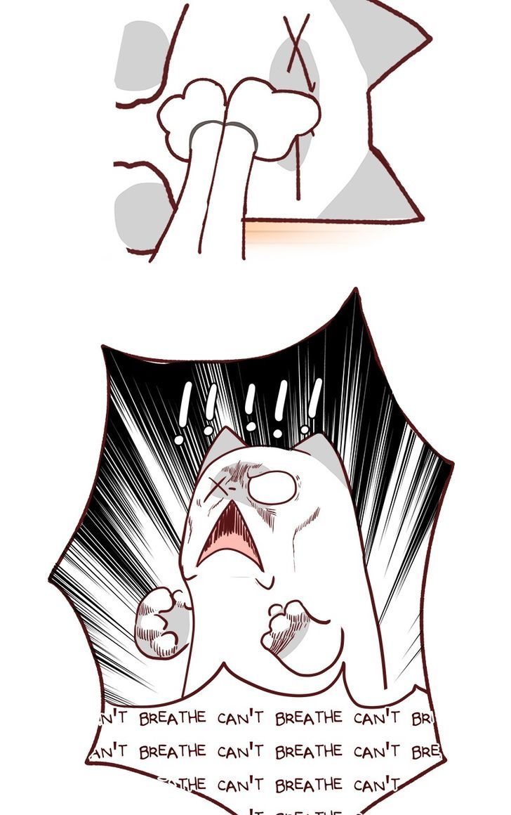 Saphie: The One-Eyed Cat Chapter 79 page 8 - Chapter 79