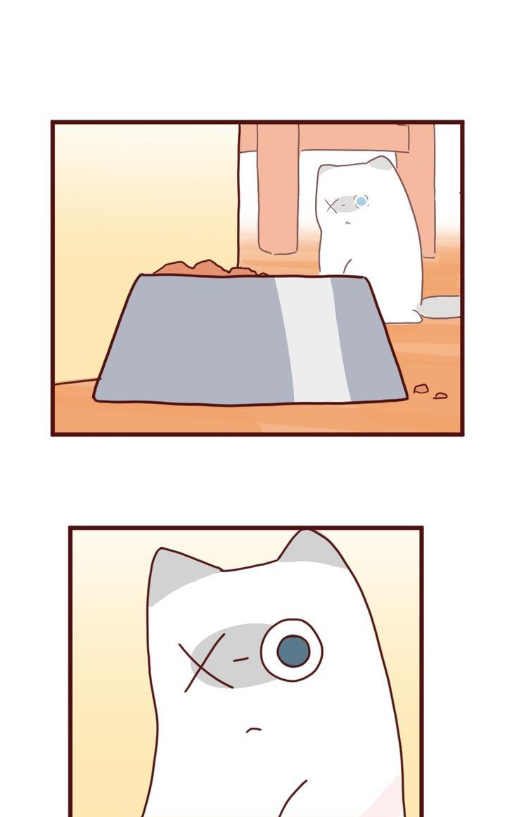 Saphie: The One-Eyed Cat Chapter 8 page 10 - Chapter 8 : Portions