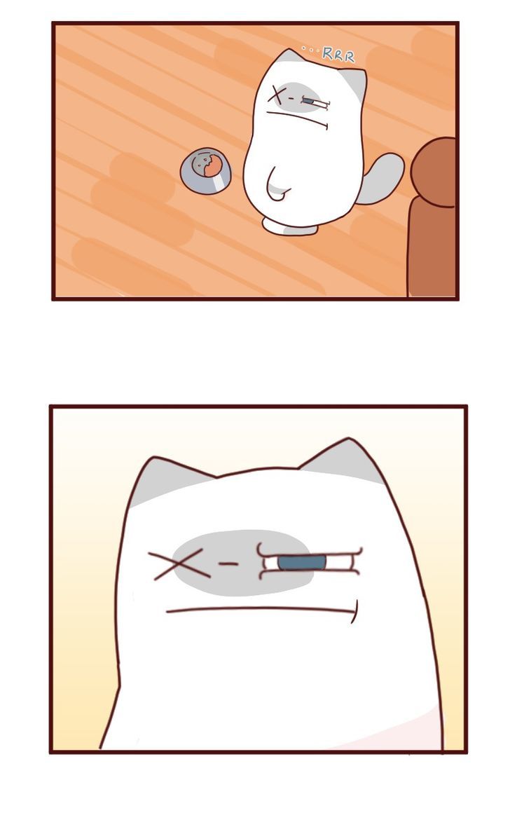 Saphie: The One-Eyed Cat Chapter 8 page 8 - Chapter 8 : Portions