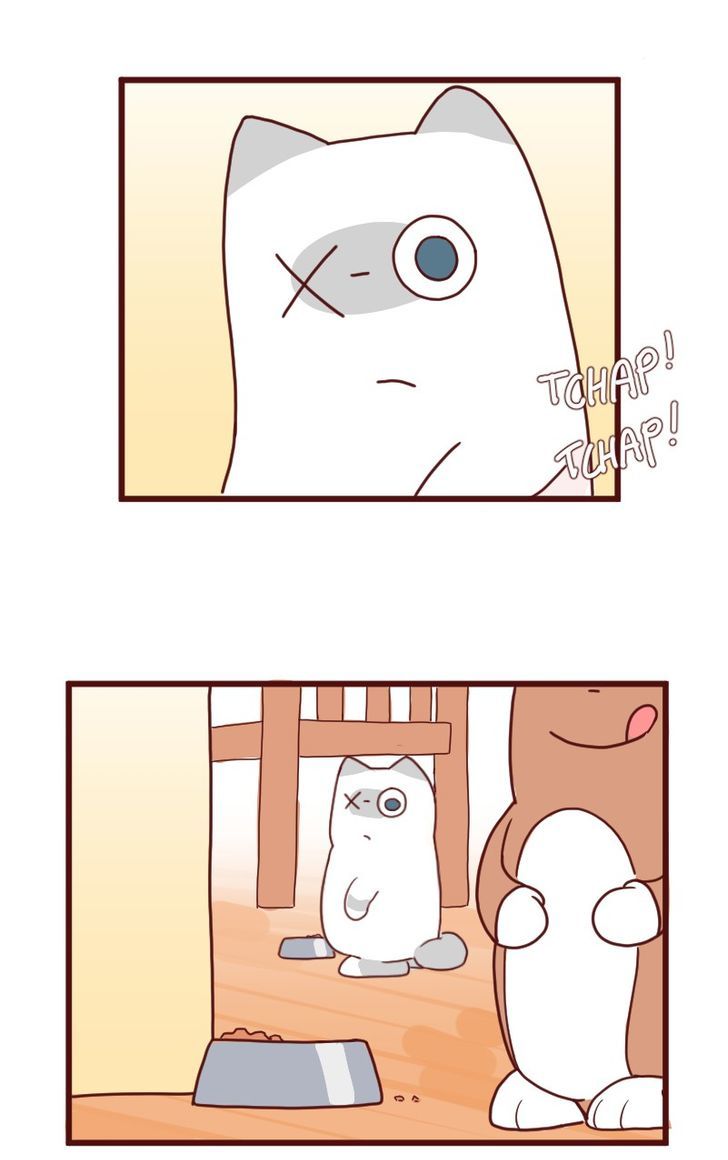 Saphie: The One-Eyed Cat Chapter 8 page 9 - Chapter 8 : Portions