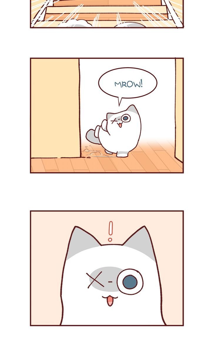 Saphie: The One-Eyed Cat Chapter 81 page 4 - Chapter 81