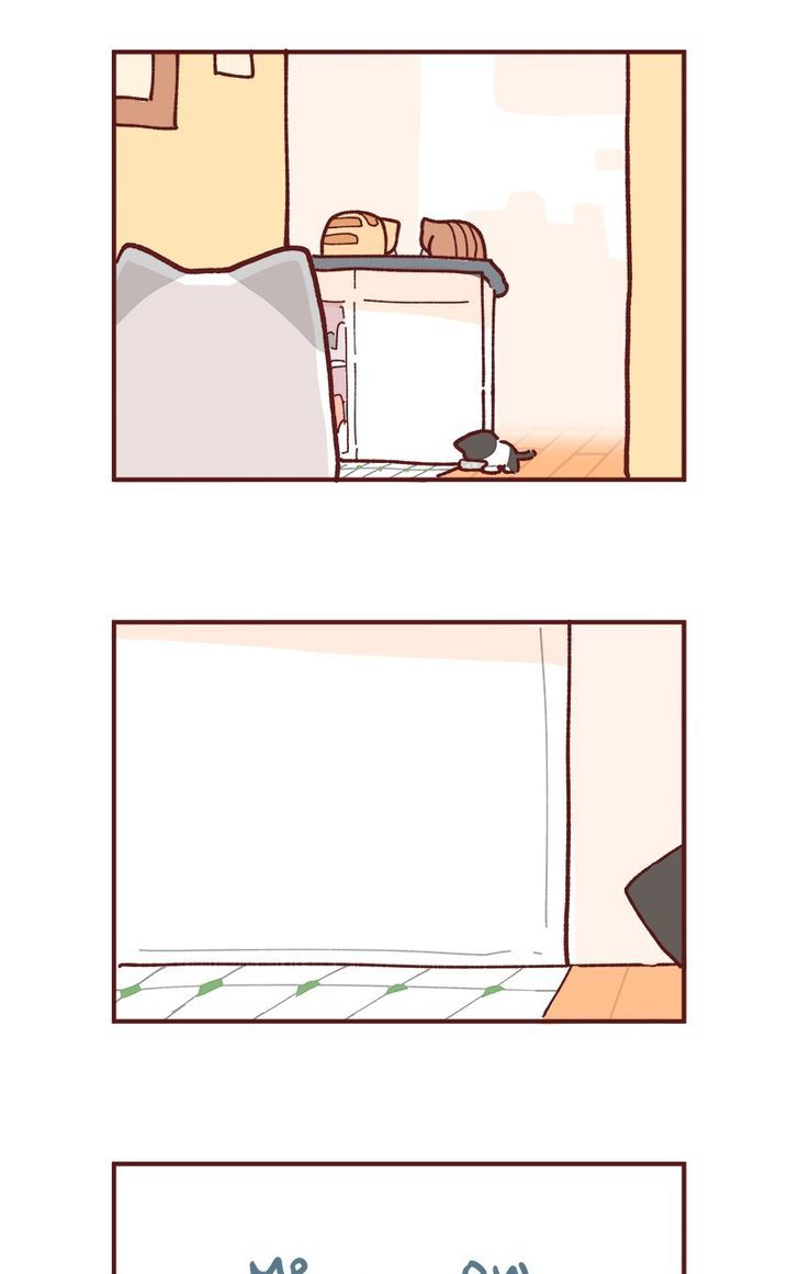 Saphie: The One-Eyed Cat Chapter 81 page 5 - Chapter 81
