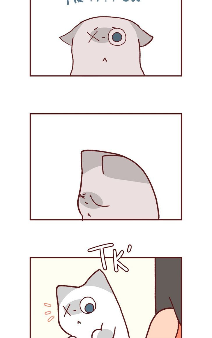 Saphie: The One-Eyed Cat Chapter 81 page 6 - Chapter 81