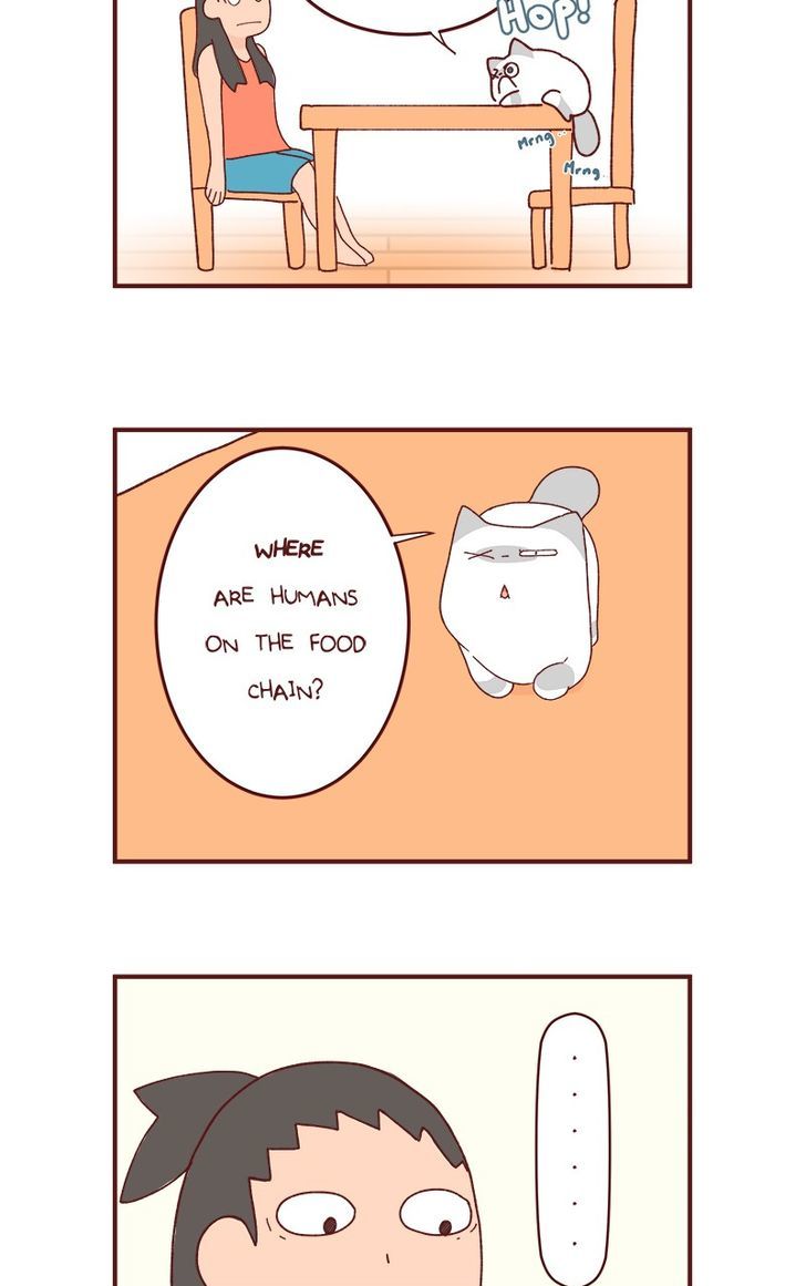 Saphie: The One-Eyed Cat Chapter 82 page 3 - Chapter 82