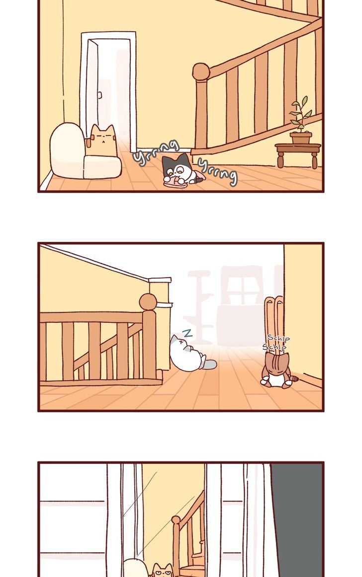 Saphie: The One-Eyed Cat Chapter 83 page 2 - Chapter 83