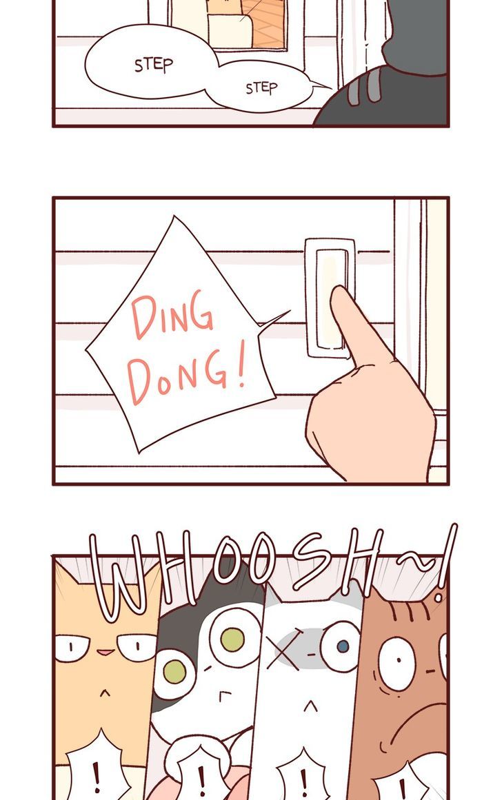 Saphie: The One-Eyed Cat Chapter 83 page 3 - Chapter 83