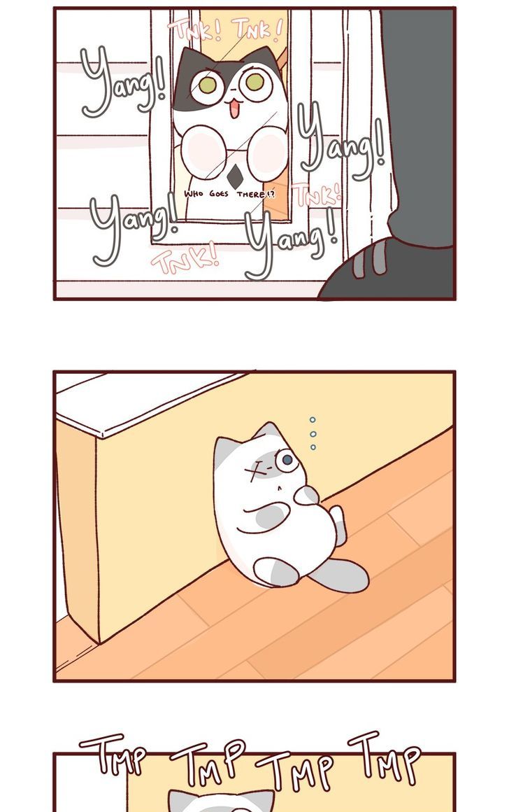 Saphie: The One-Eyed Cat Chapter 83 page 5 - Chapter 83