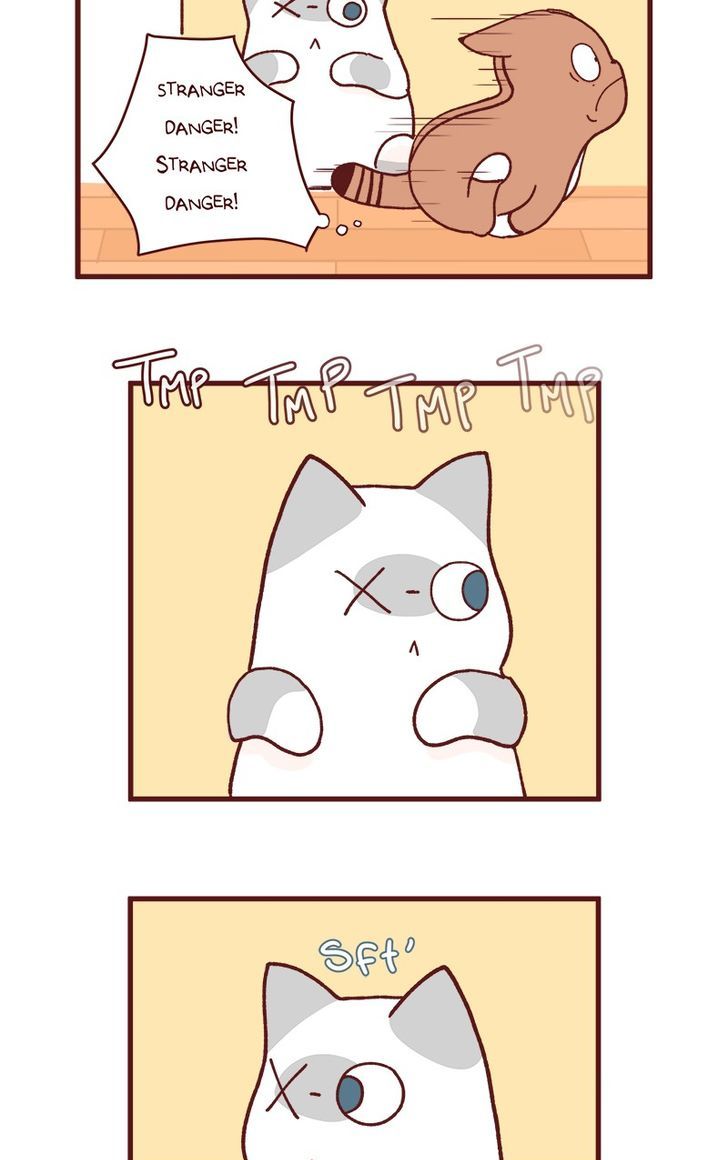 Saphie: The One-Eyed Cat Chapter 83 page 6 - Chapter 83