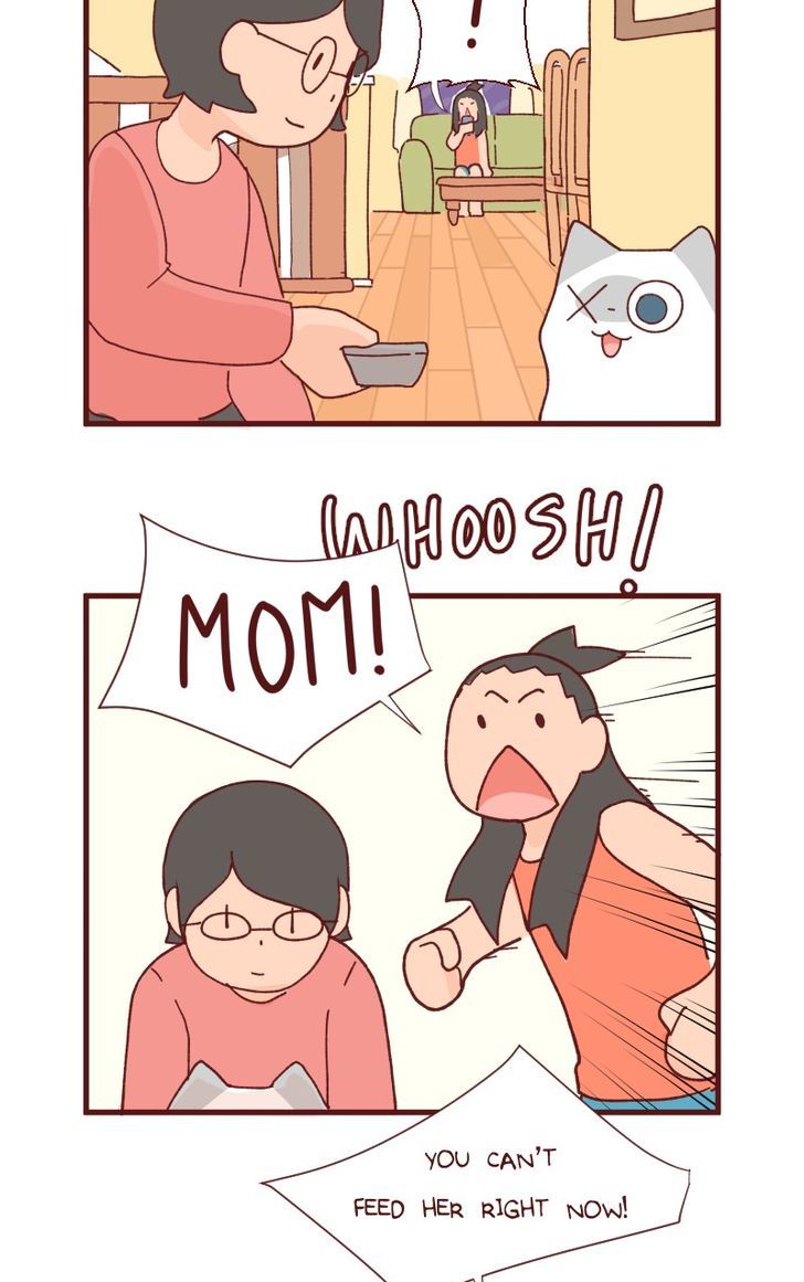 Saphie: The One-Eyed Cat Chapter 86 page 3 - Chapter 86