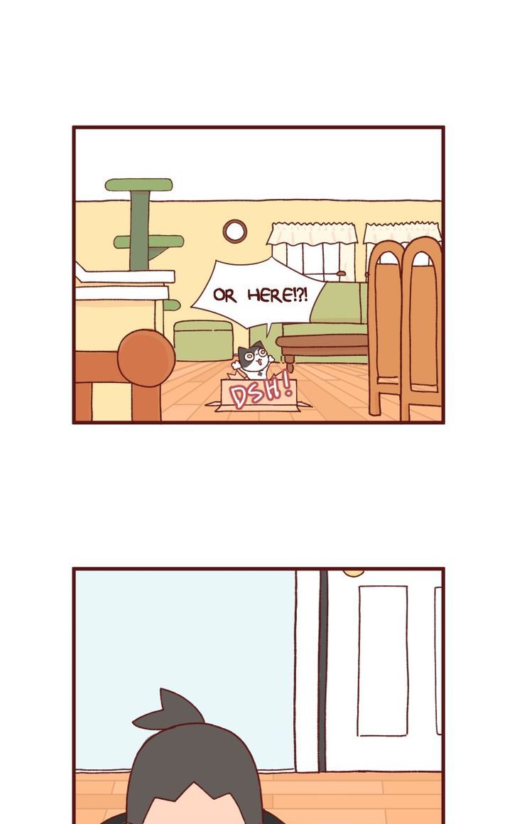 Saphie: The One-Eyed Cat Chapter 87 page 3 - Chapter 87