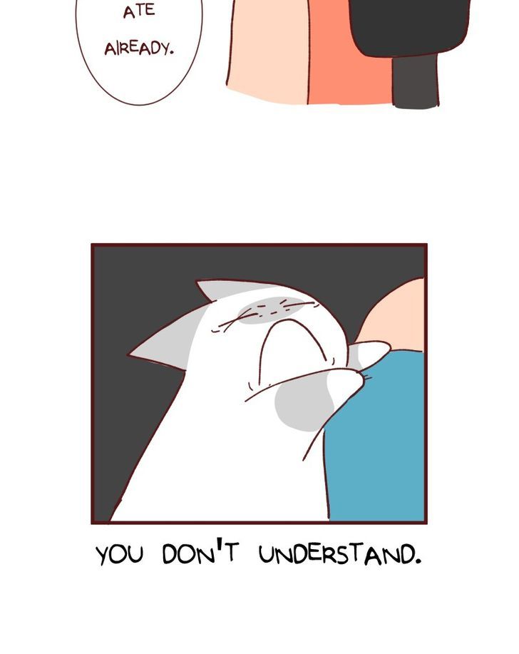 Saphie: The One-Eyed Cat Chapter 88 page 11 - Chapter 88