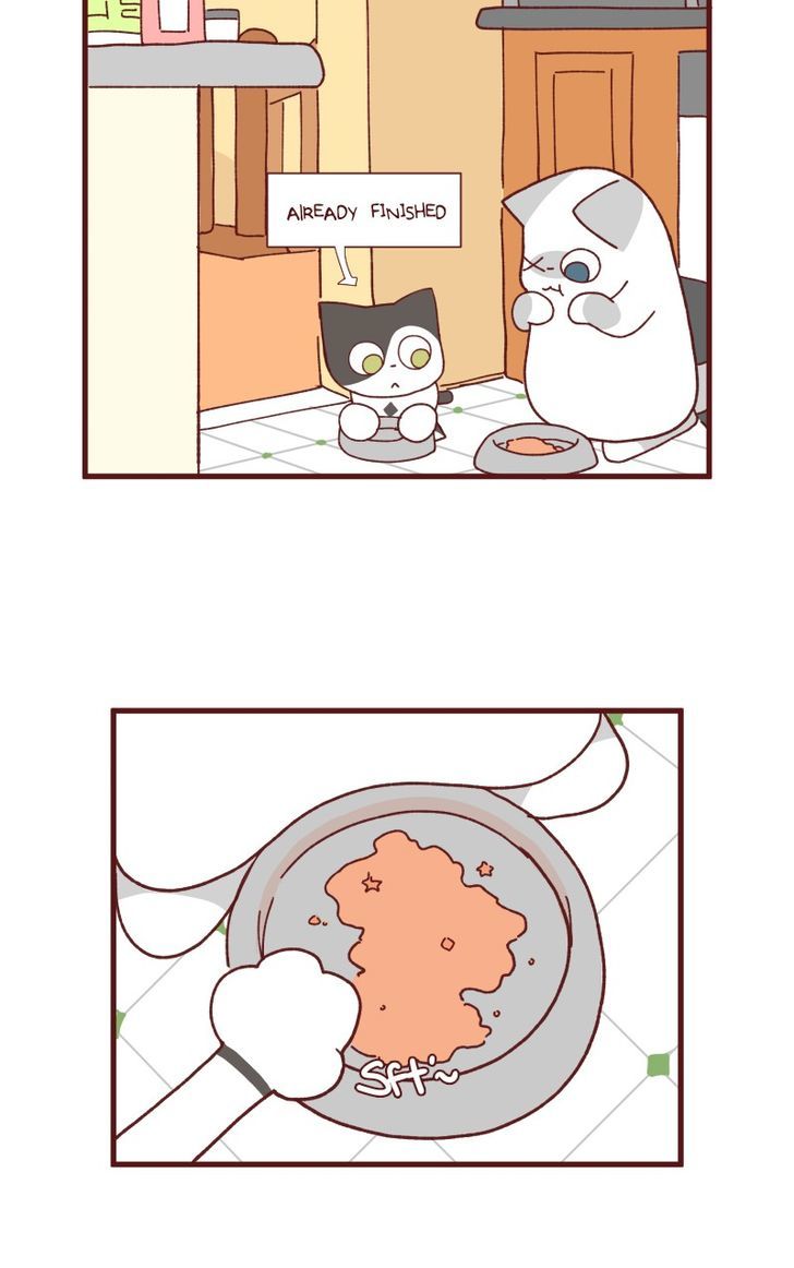 Saphie: The One-Eyed Cat Chapter 88 page 2 - Chapter 88