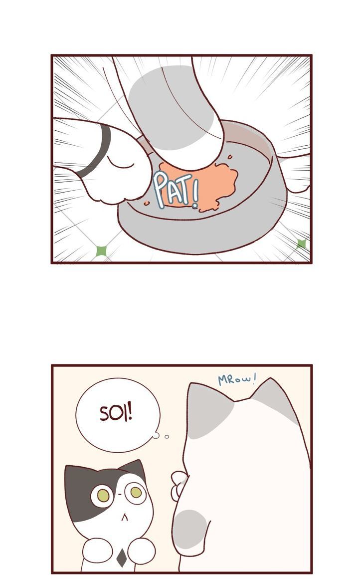 Saphie: The One-Eyed Cat Chapter 88 page 3 - Chapter 88
