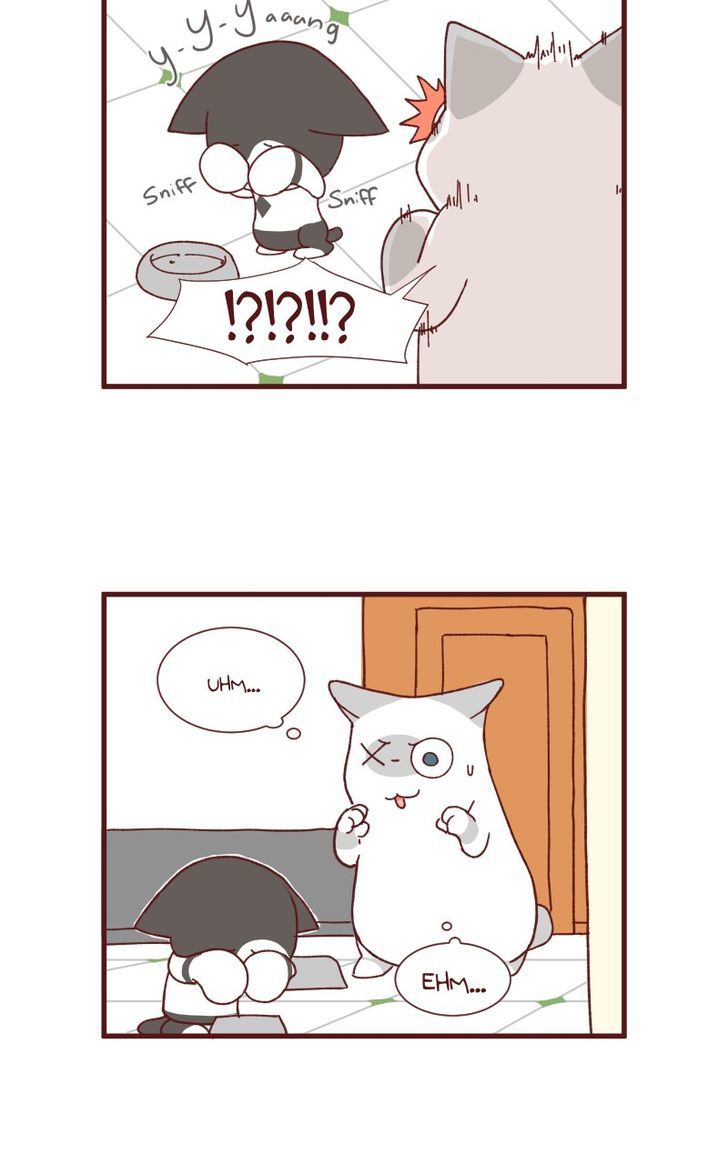 Saphie: The One-Eyed Cat Chapter 88 page 5 - Chapter 88