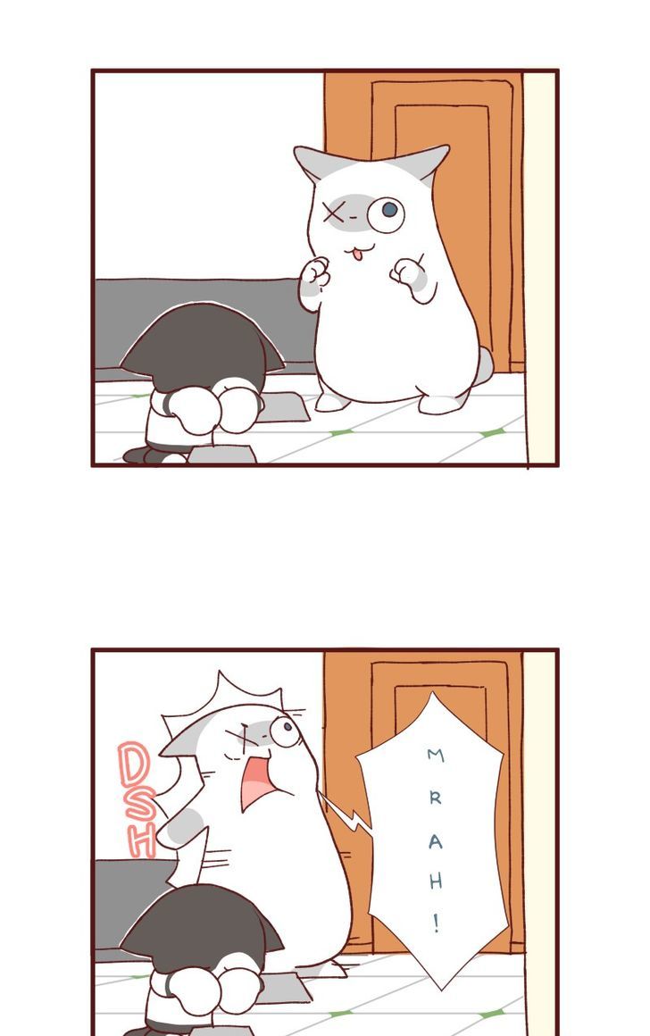 Saphie: The One-Eyed Cat Chapter 88 page 6 - Chapter 88